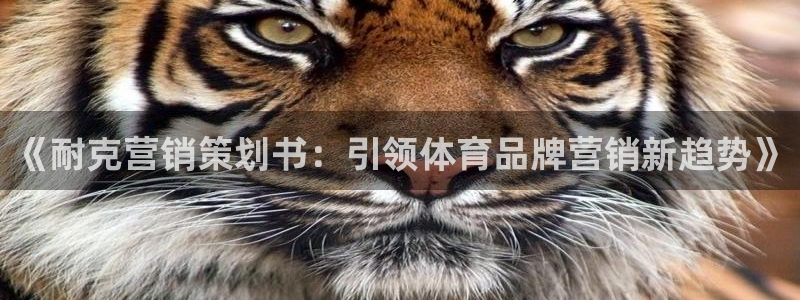 必赢网站是哪一个平台