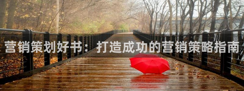 必赢手机app下载