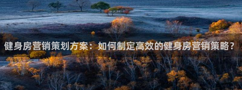 必赢最新