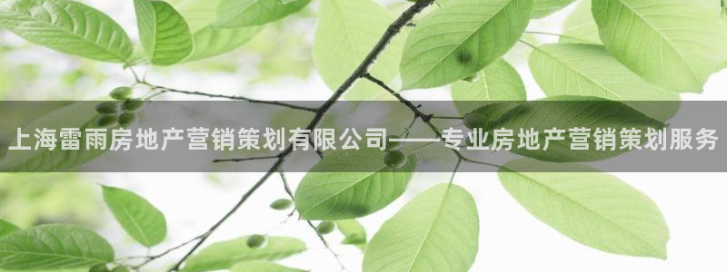 必赢app官方网站
