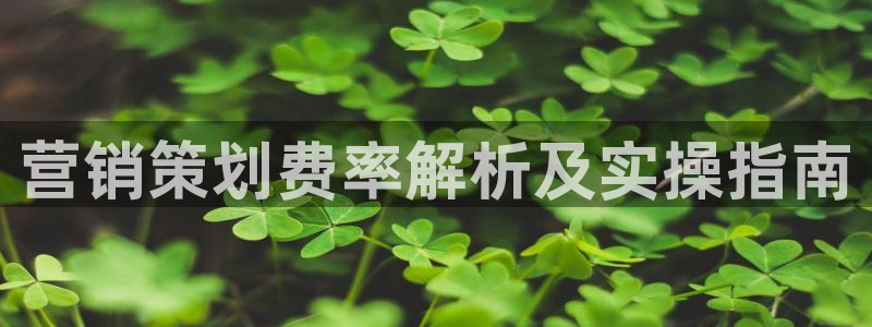 必赢网址谁知道的