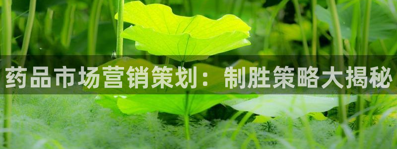 必赢手机版官网