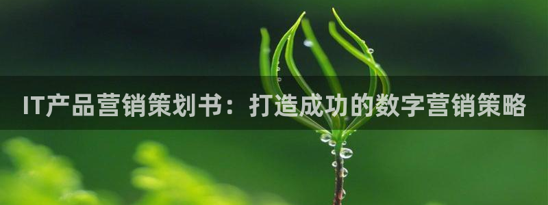 必赢这个软件怎么样知乎
