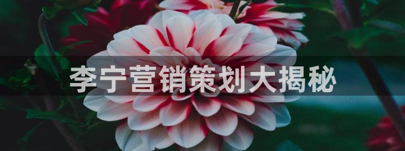 必赢net.95