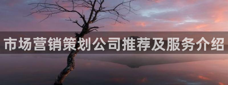 必赢平台怎么样知乎