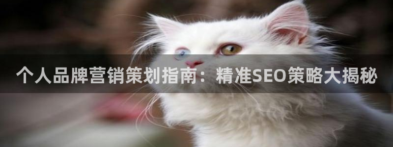 必赢官网下载安装最新版