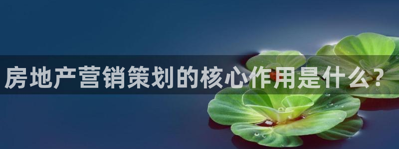 必赢网站mg冰球突破豪华版