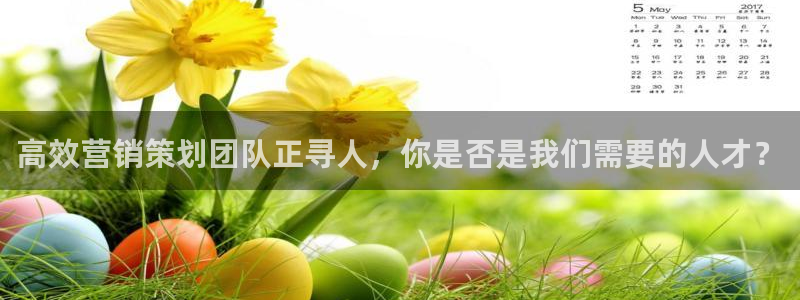 73882必赢app下载