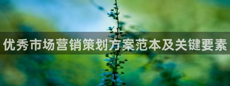 必赢国际437a