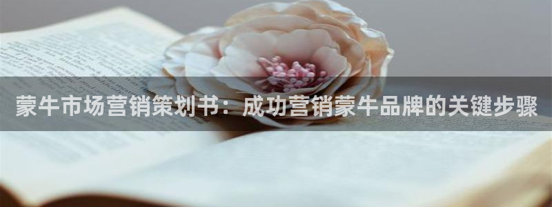 必赢766