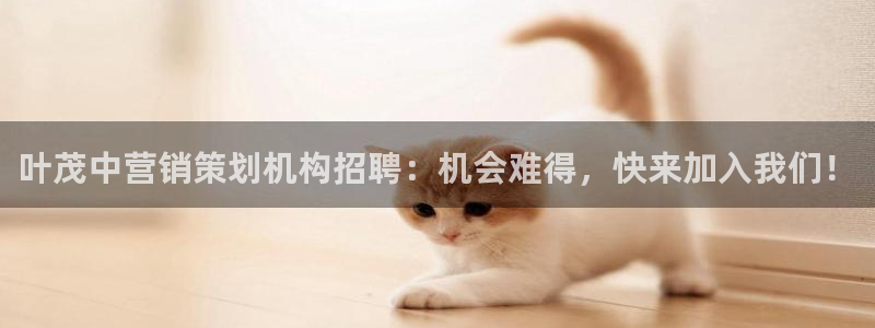 必赢链接