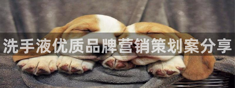 必赢平台官方
