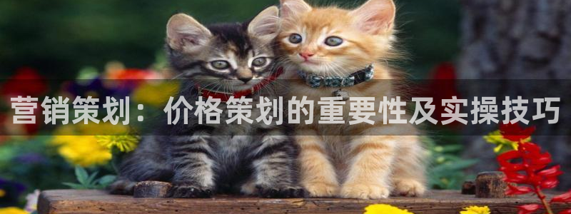 必赢国际437a