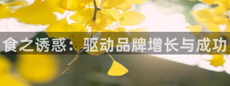 必赢的意思是什么