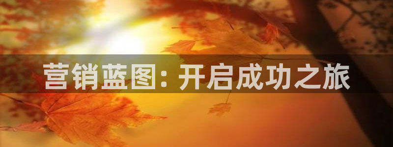 必赢国际怎么样