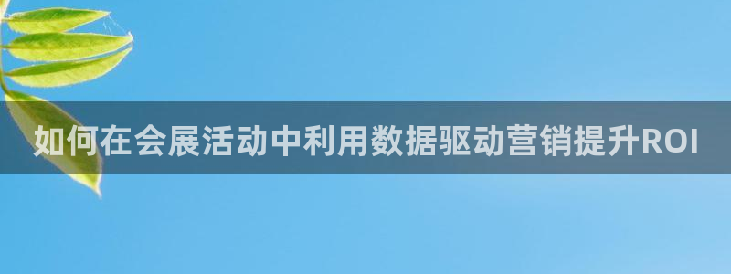 必赢科技有限公司