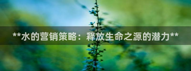 必赢手机版