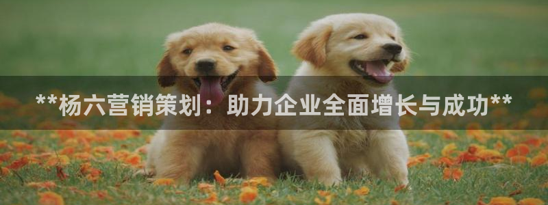 必赢网址手机主页怎么设置
