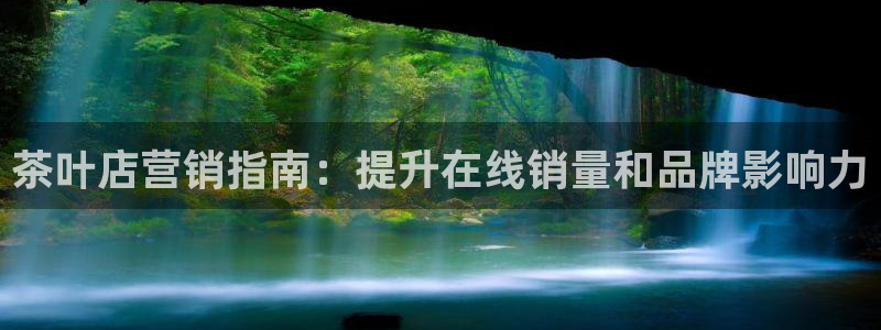 必赢国际的网站多少
