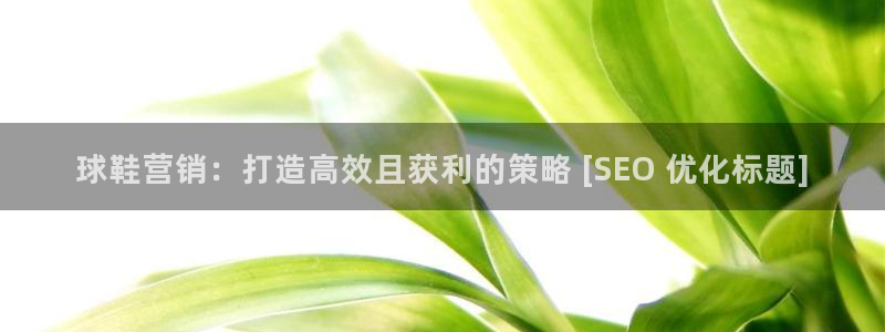 必赢最新消息