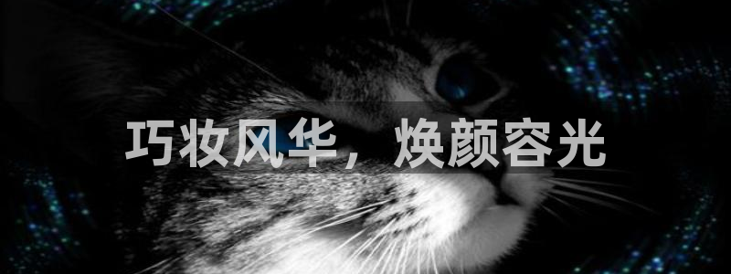 必赢科技北京有限公司