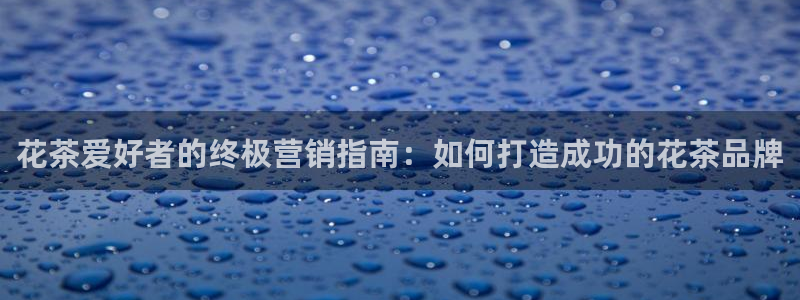 必赢手机app下载官网