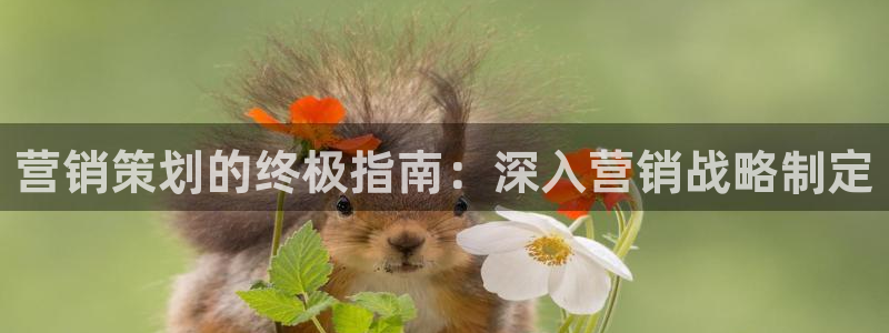 必赢必赢
