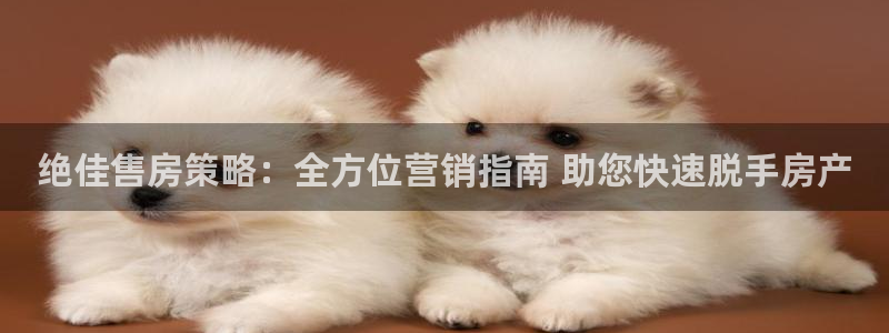 必赢565net官网网站
