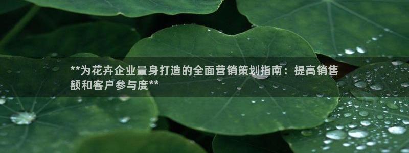 必赢国际游戏技巧