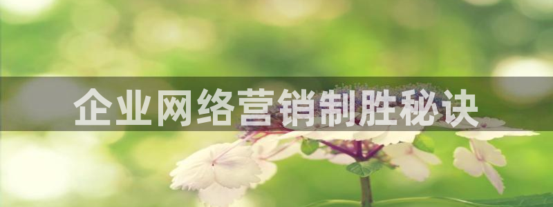 437437必赢国际怎么充不了钱