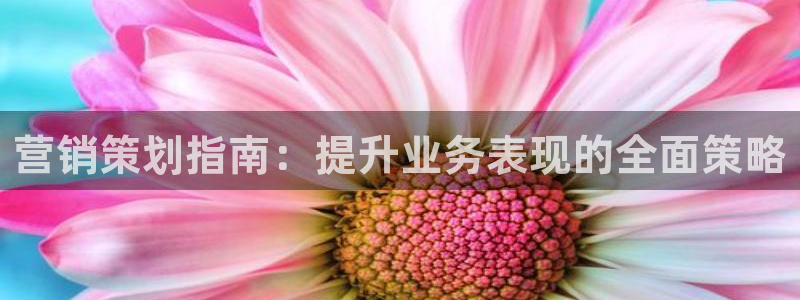 必赢bwinapp
