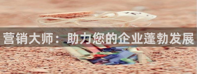 必赢平台网
