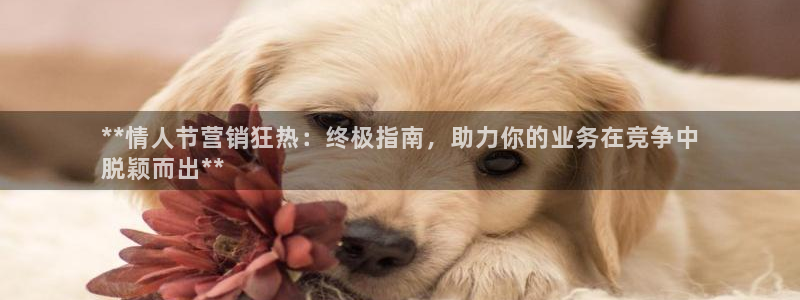 必赢手机app下载官网最新版
