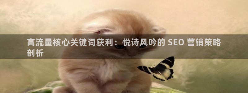 必赢国际的网站多少