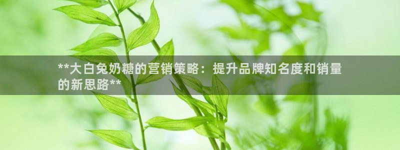 必赢公司