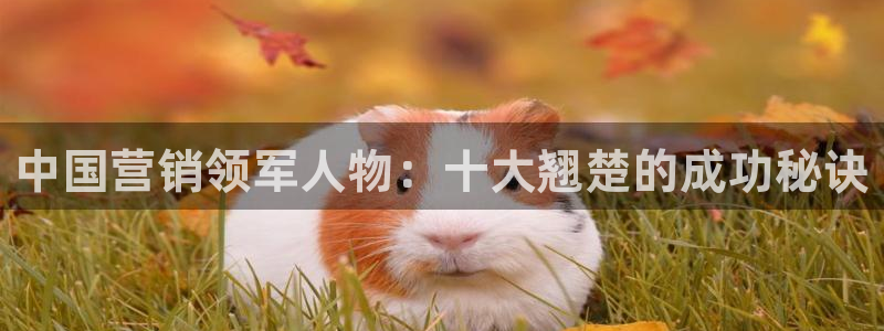 必赢网站打不开