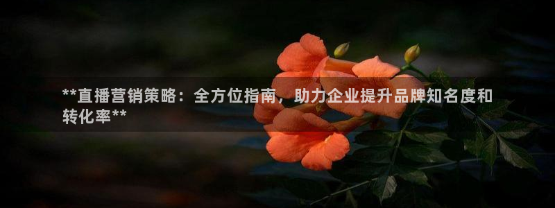 必赢官网网站入口下载