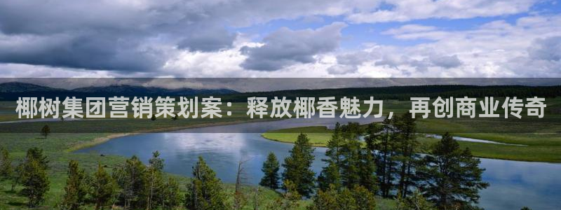必赢网站是哪一个公司的
