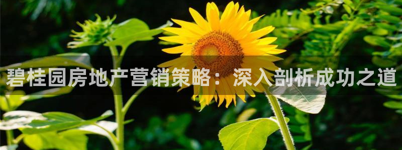必赢网址手机主页在哪