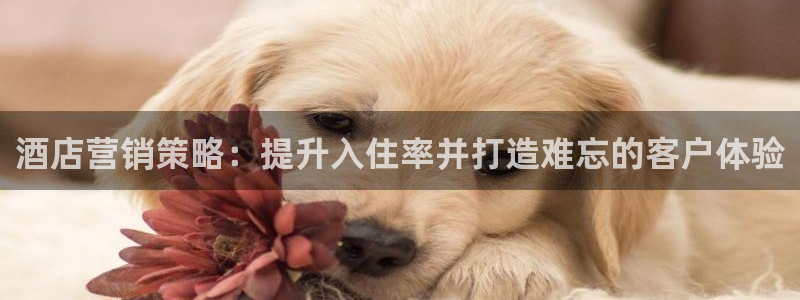 必赢国际437官方介绍