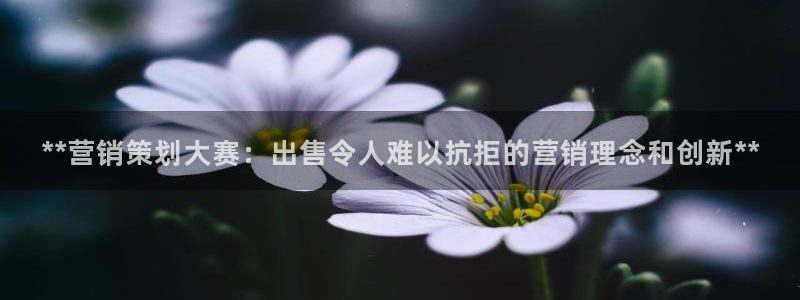 必赢链接