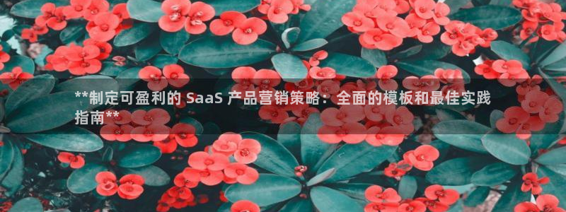 必赢亚赢网站官网下载手机版