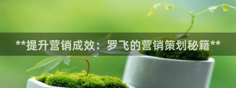 必赢网站进去