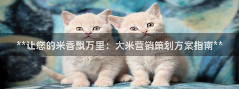 必赢最新