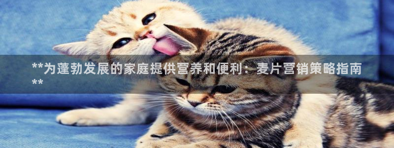 必赢宝是不是合法平台