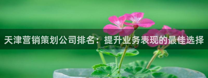 必赢国际437网页版