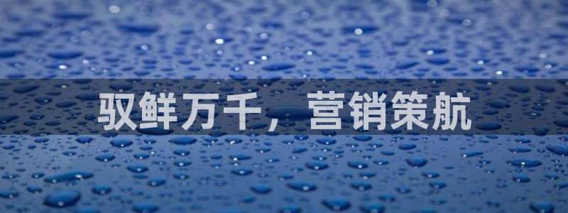 必赢棋9.655