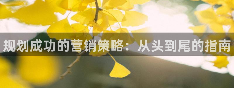 必赢平台官方网址