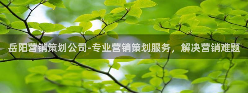 9965必赢游戏app大全