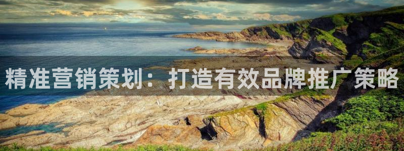 必赢国际是什么